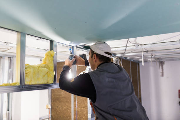Professional Insulation Contractor in Carrollton, MO