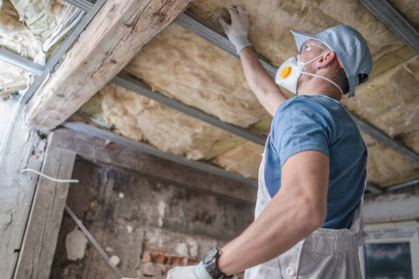 Best Spray Foam Insulation in Carrollton, MO