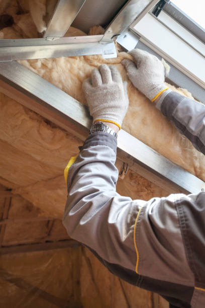 Best Spray Foam Insulation in Carrollton, MO