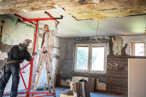 Best Specialized Insulation Services in Carrollton, MO